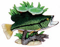A decorative fish sculpture or wall decor piece featuring a green bass-like fish with a yellow eye, yellow-tinted fins, and a dark horizontal stripe, mounted above driftwood and green aquatic plants on a white background.