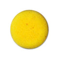 CMS0032 - Potter's Sponge - Synthetic