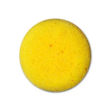 CMS0032 - Potter's Sponge - Synthetic