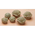 CM0262 - 661 Riverview Cabbages