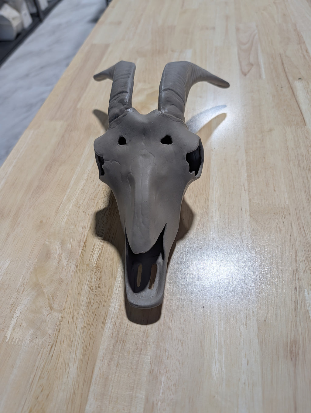 CM0019B - 1324 Doc Holliday Skull, Mountain Goat 13"L Bisque