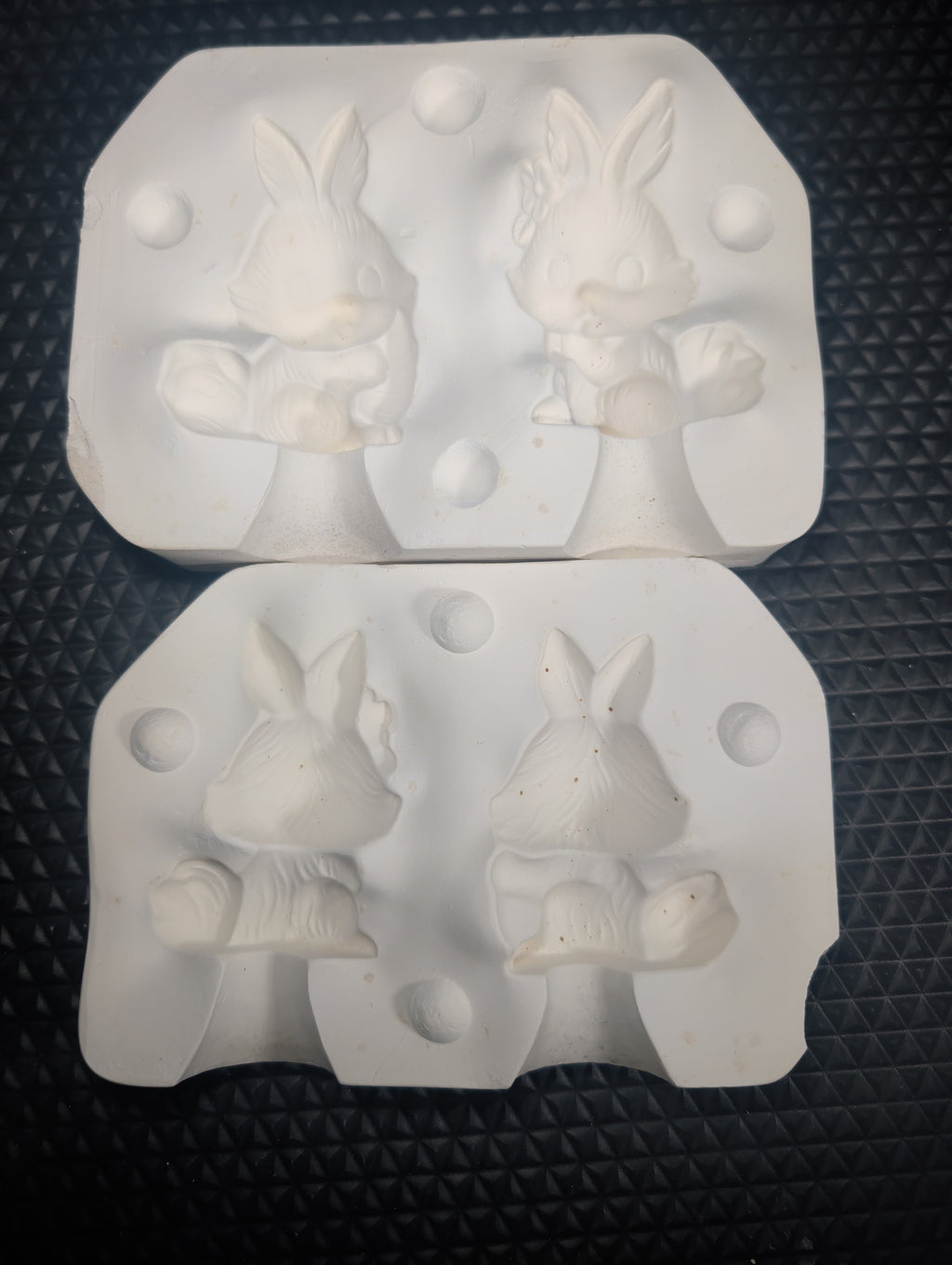 CM0230 - 78 Riverview Bunnies