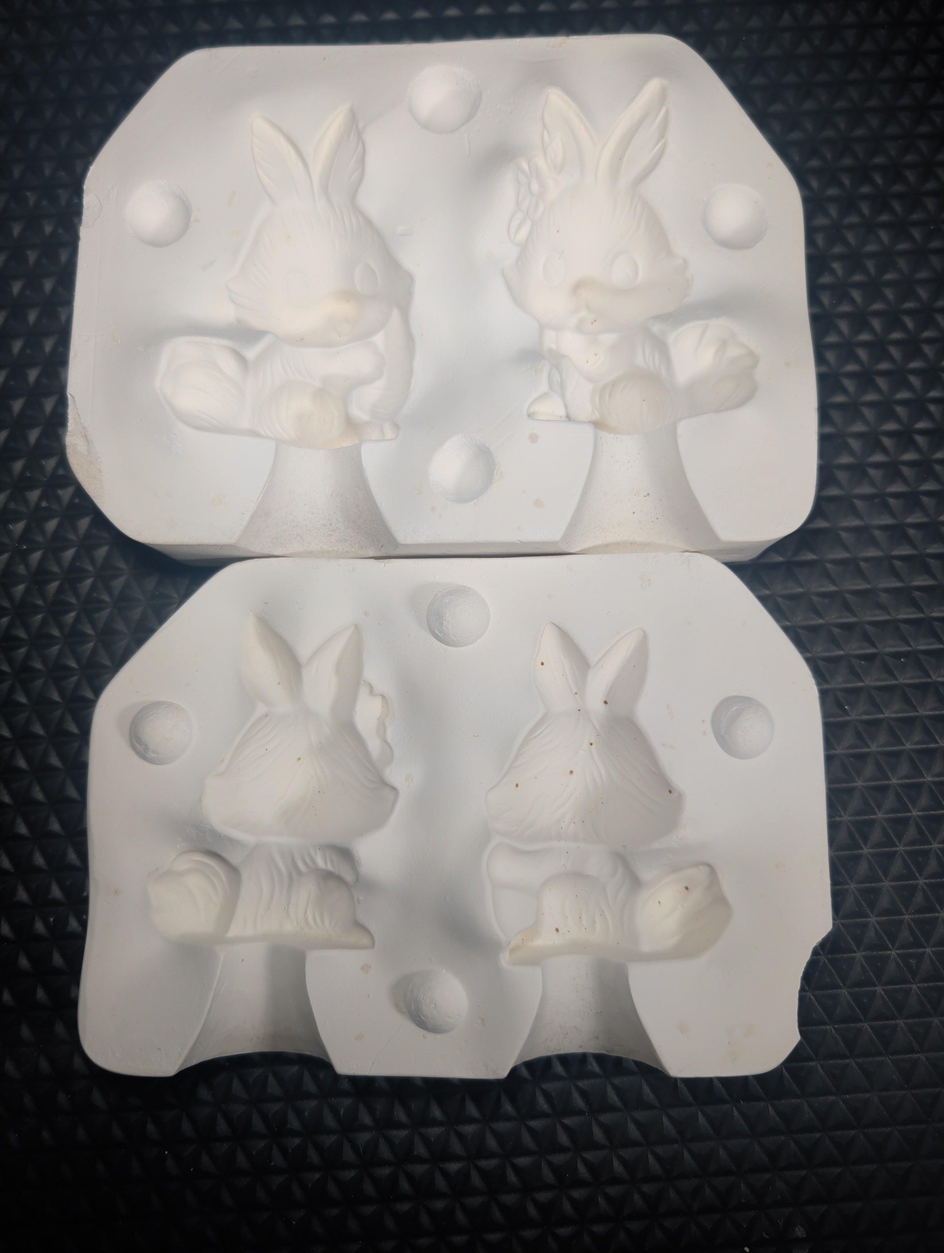 CM0230 - 78 Riverview Bunnies