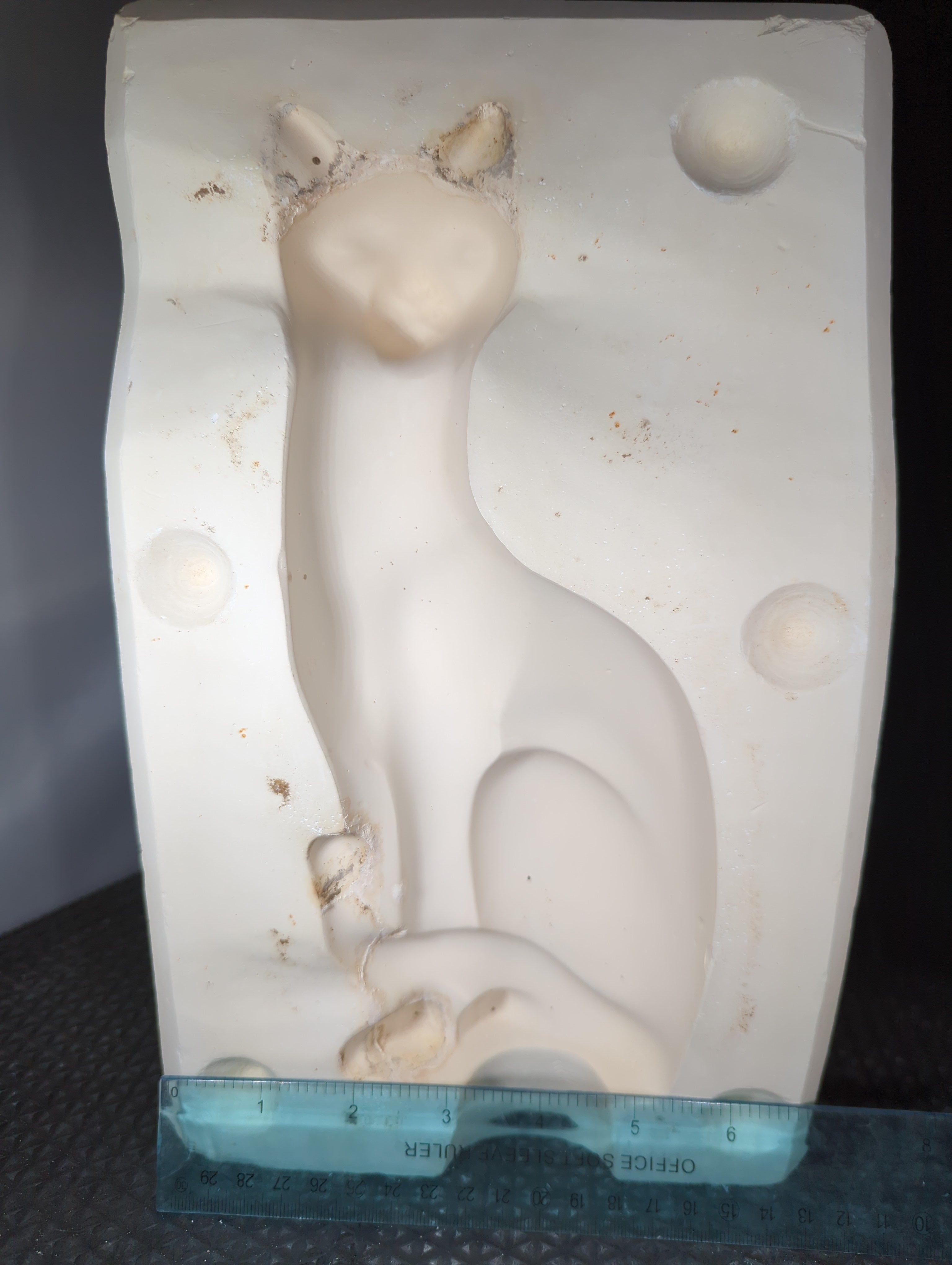 CM0252 - Large Cat