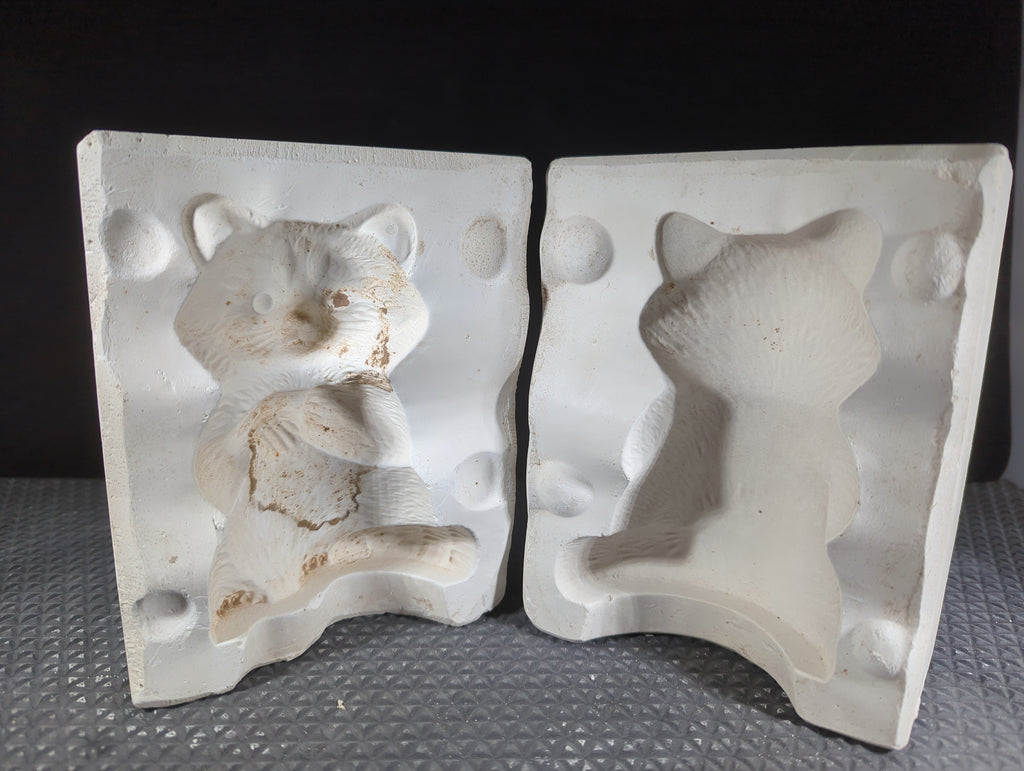 CM0719 - Racoon **Sip N Slip Only** Not for Sale