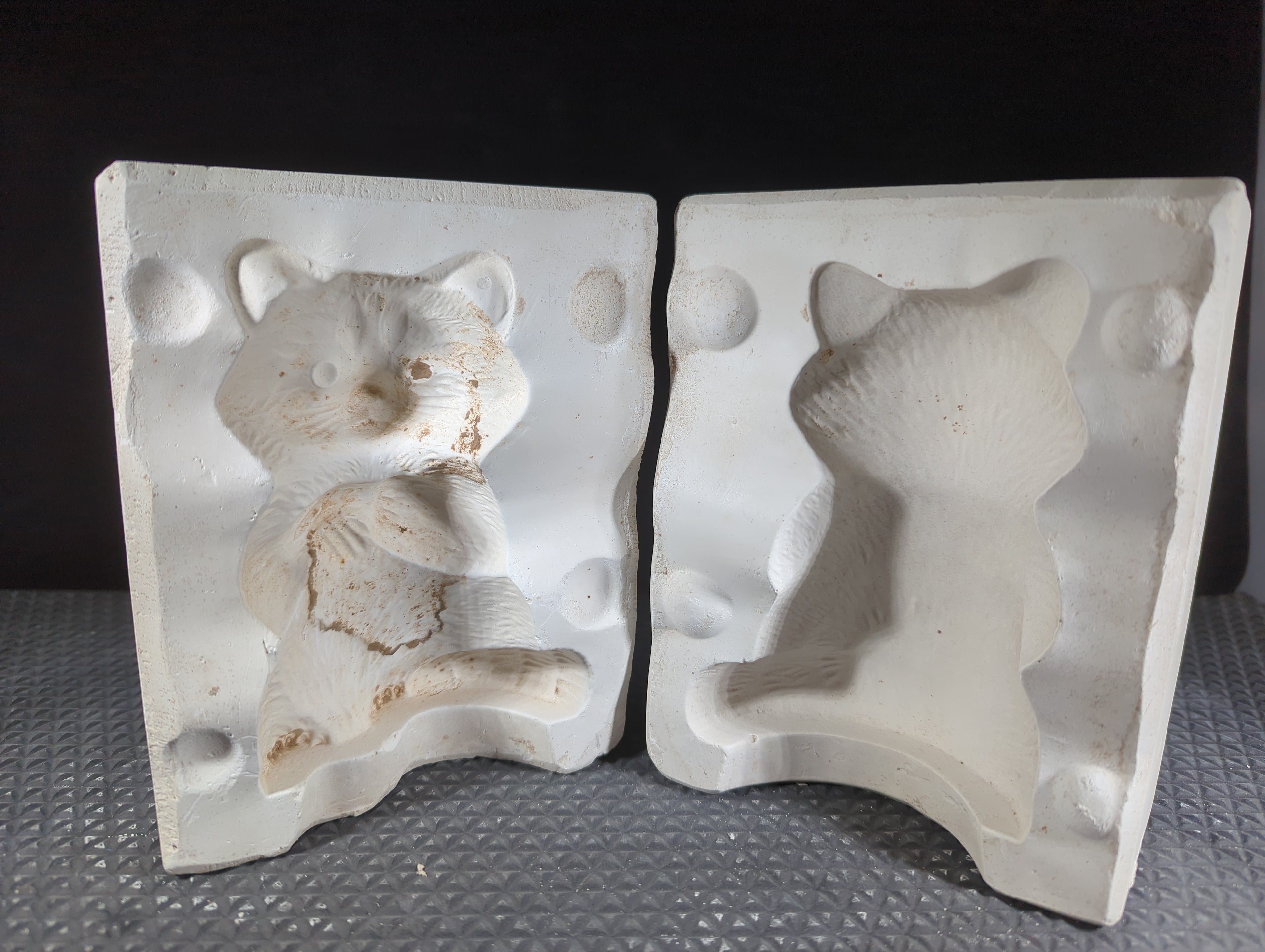 CM0719 - Racoon **Sip N Slip Only** Not for Sale