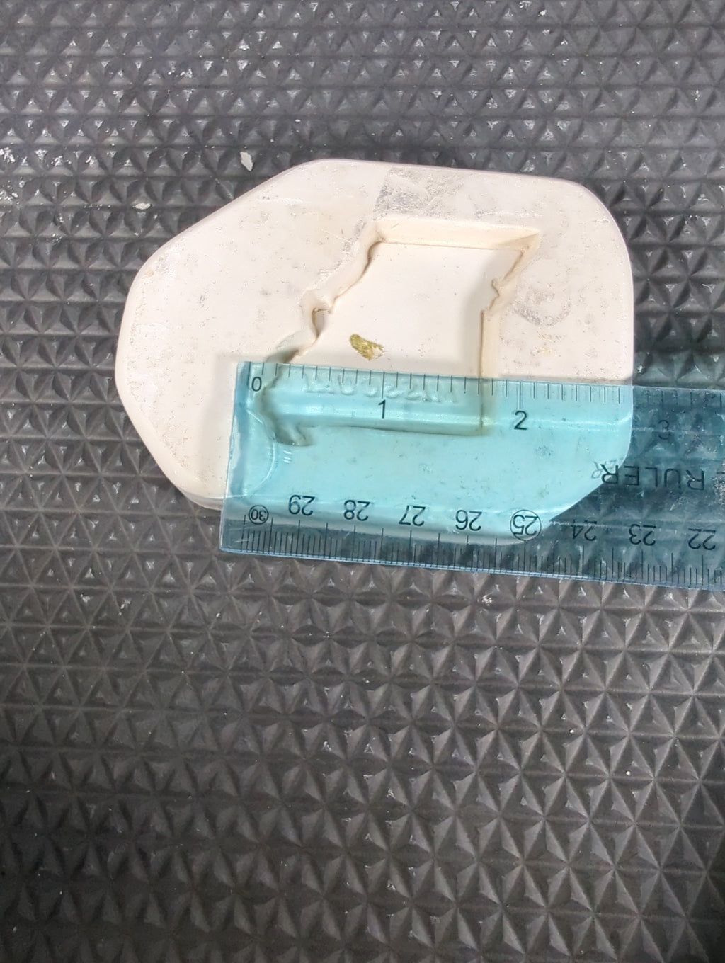CM0394 - M-251 Missouri Press/ Sprig Mold