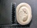 CM0806 - 1000 Starlite Crown Press/Sprig Mold