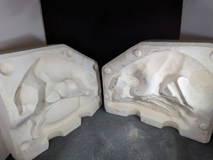 CM0146 - Cougar