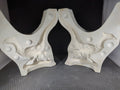 CM0335 - 1x37 A Jodi Mold - Bird