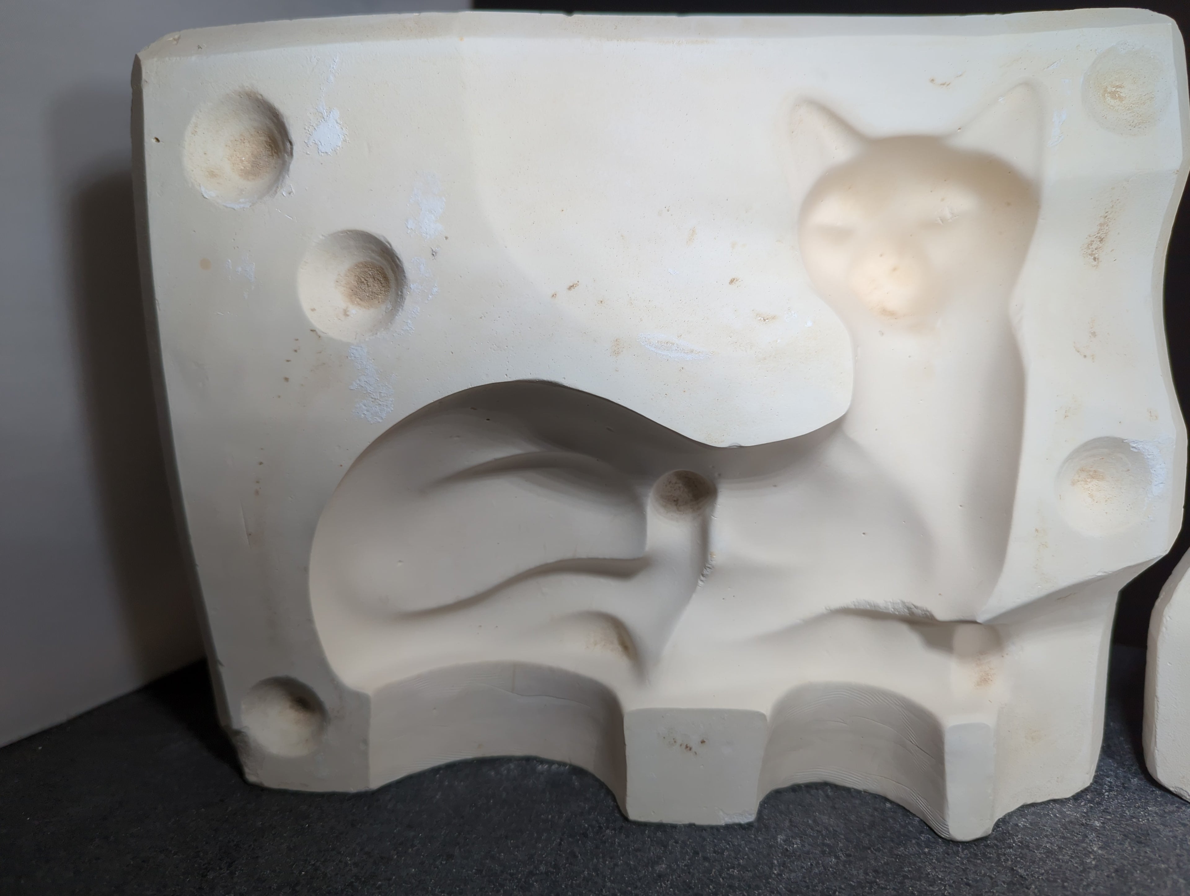 CM0197 - Medium Cat Laying Down