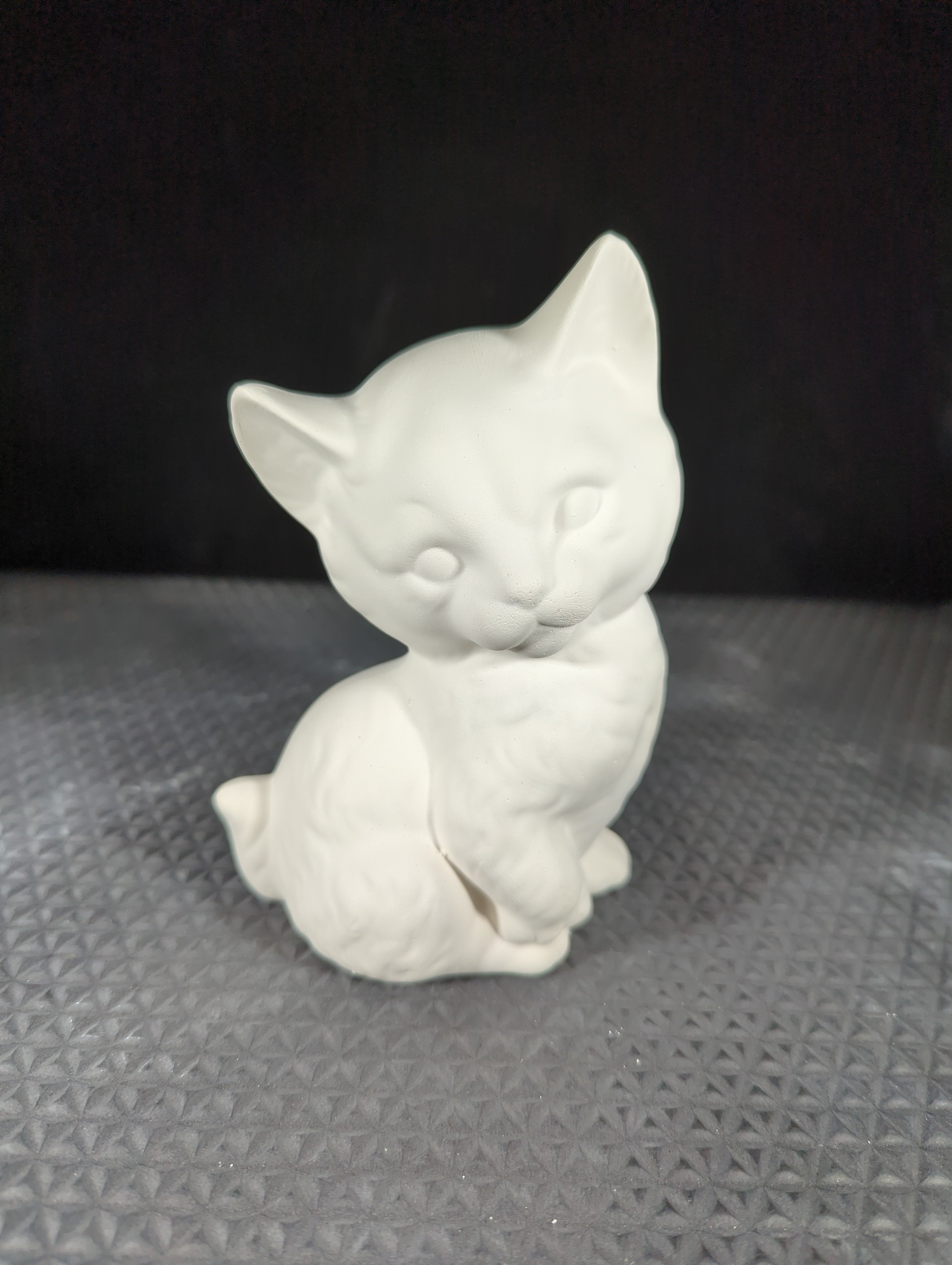 CM0637B - Cone 6 Bisque Cat