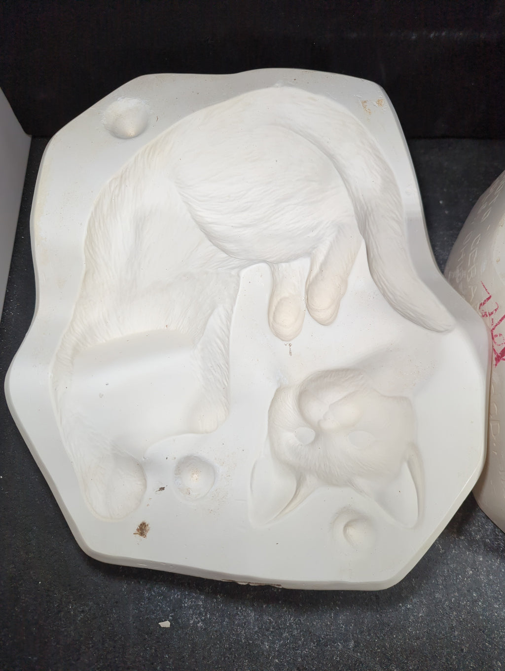 CM0087 - S-1284 Scioto Napping Shelf Cat