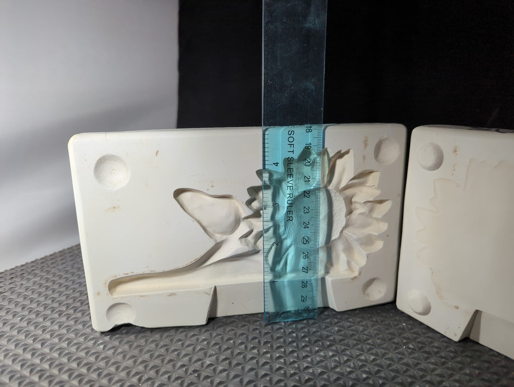 CM0539 - Sunflower laying down