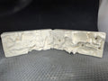 CM0788 - DM 101 Duncan Sea Life