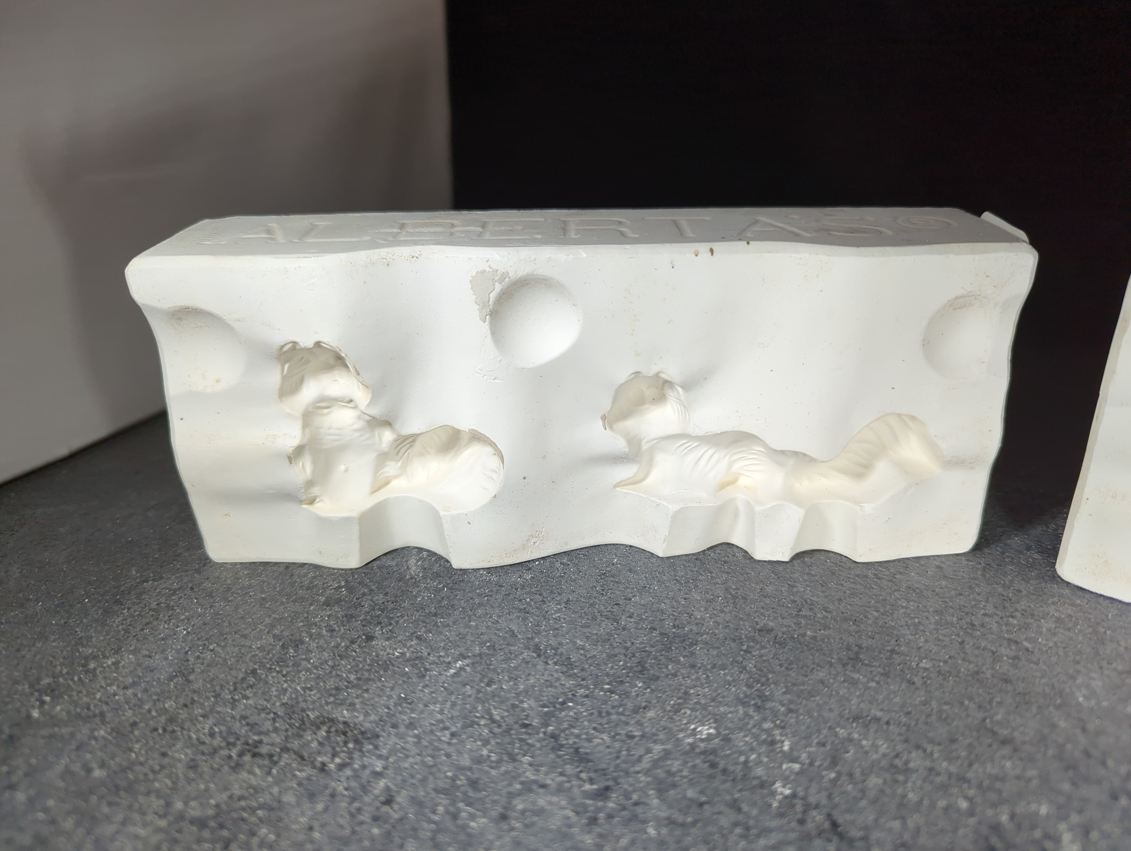 CM0155 - A-514 Alberta's Squirrels