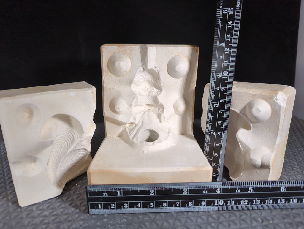 CM0894 - 113B Squirrel