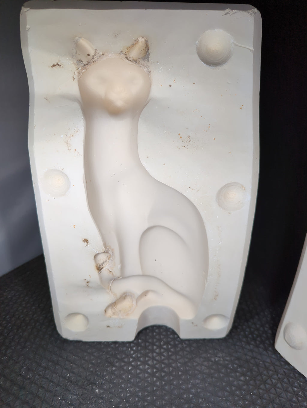 CM0252 - Large Cat