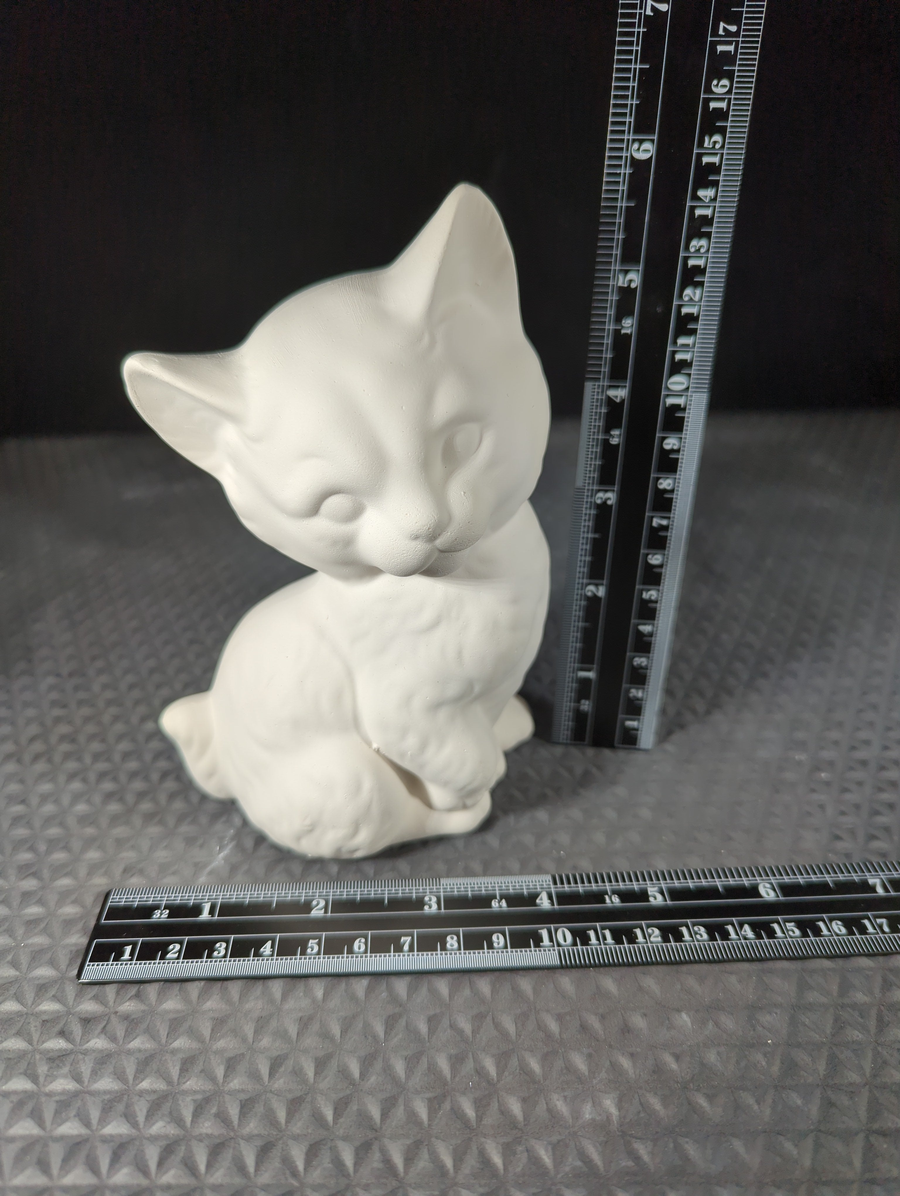 CM0637B - Cone 6 Bisque Cat