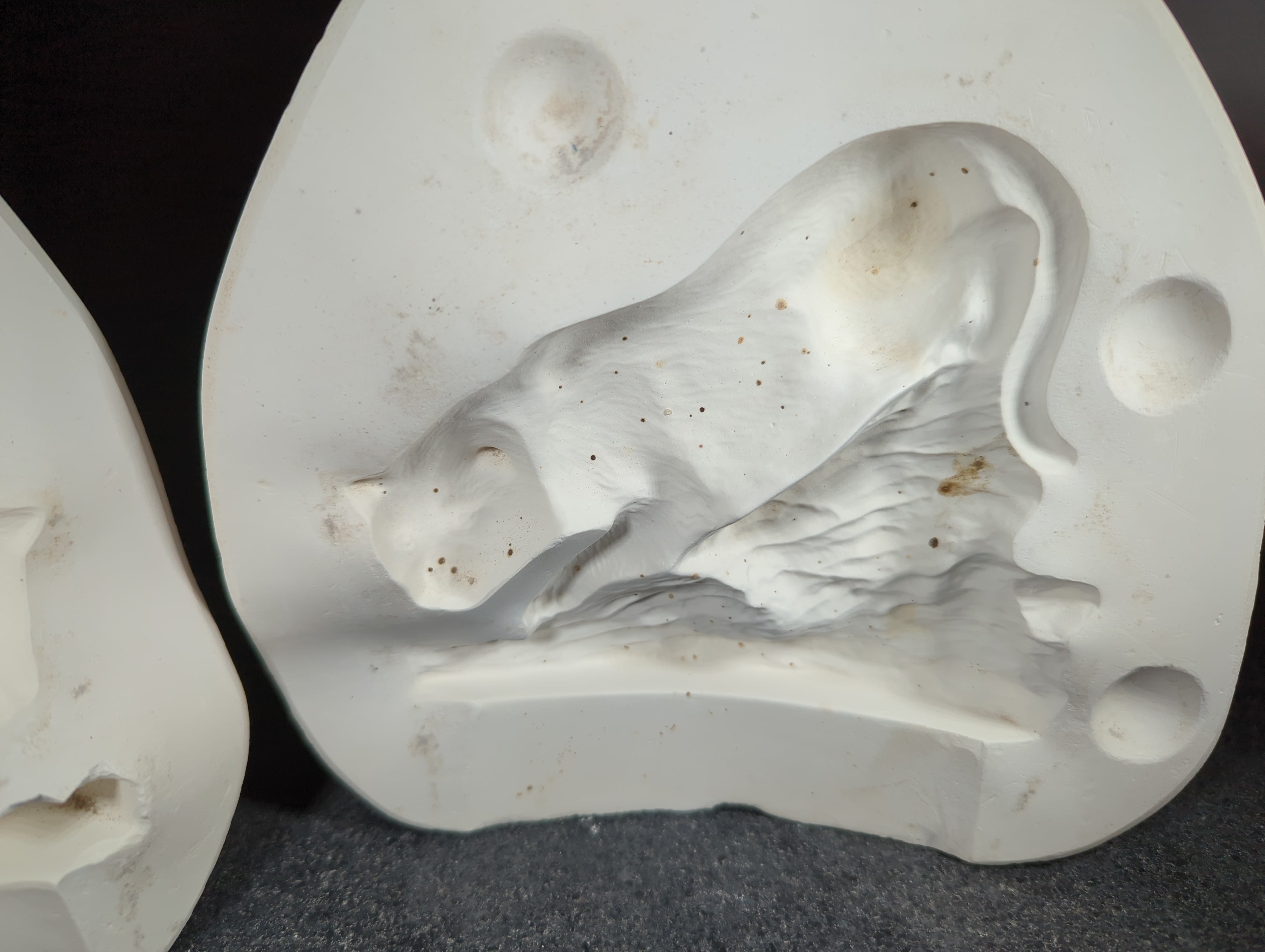 CM0152 - 2288 Kimple Cougar