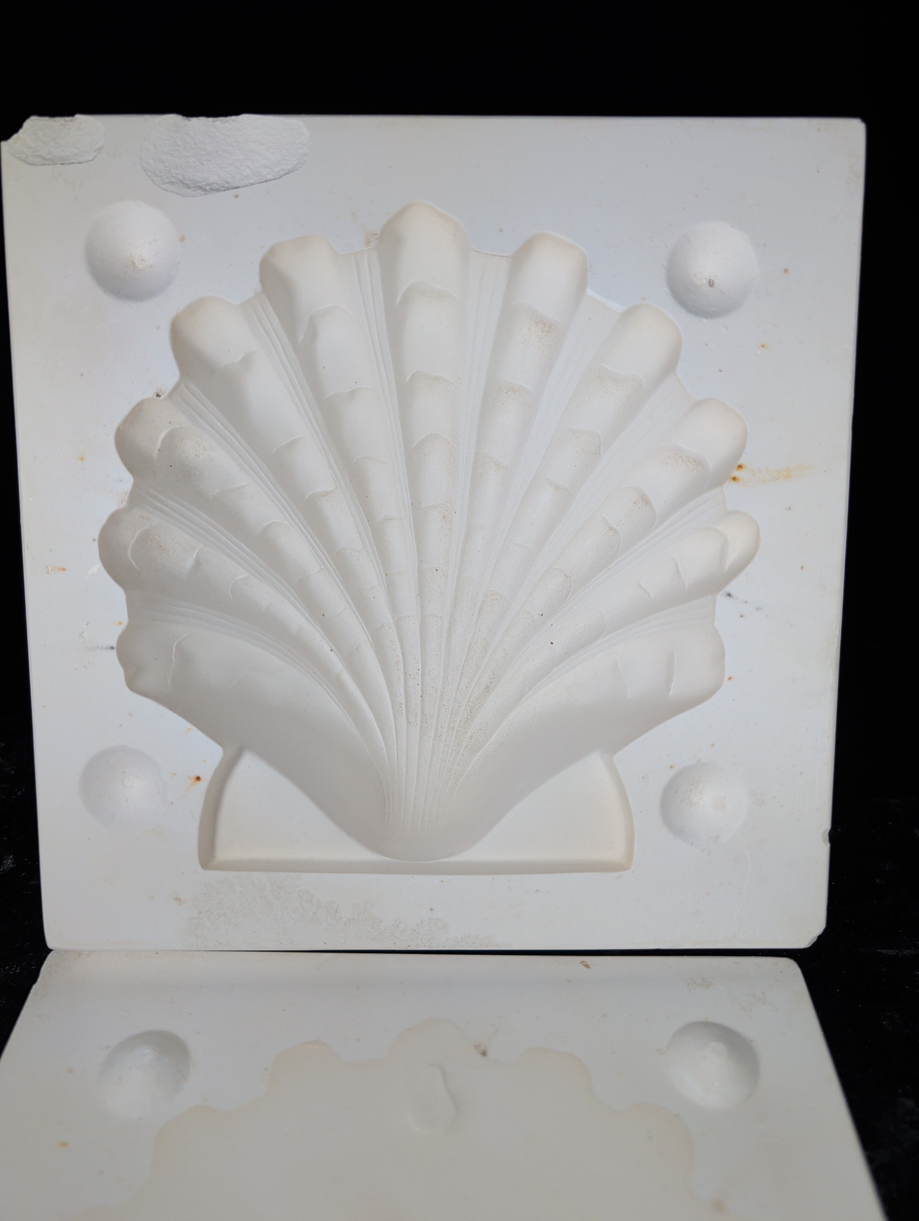 CM0007 - L-996 Gare Seashell Towel Holder