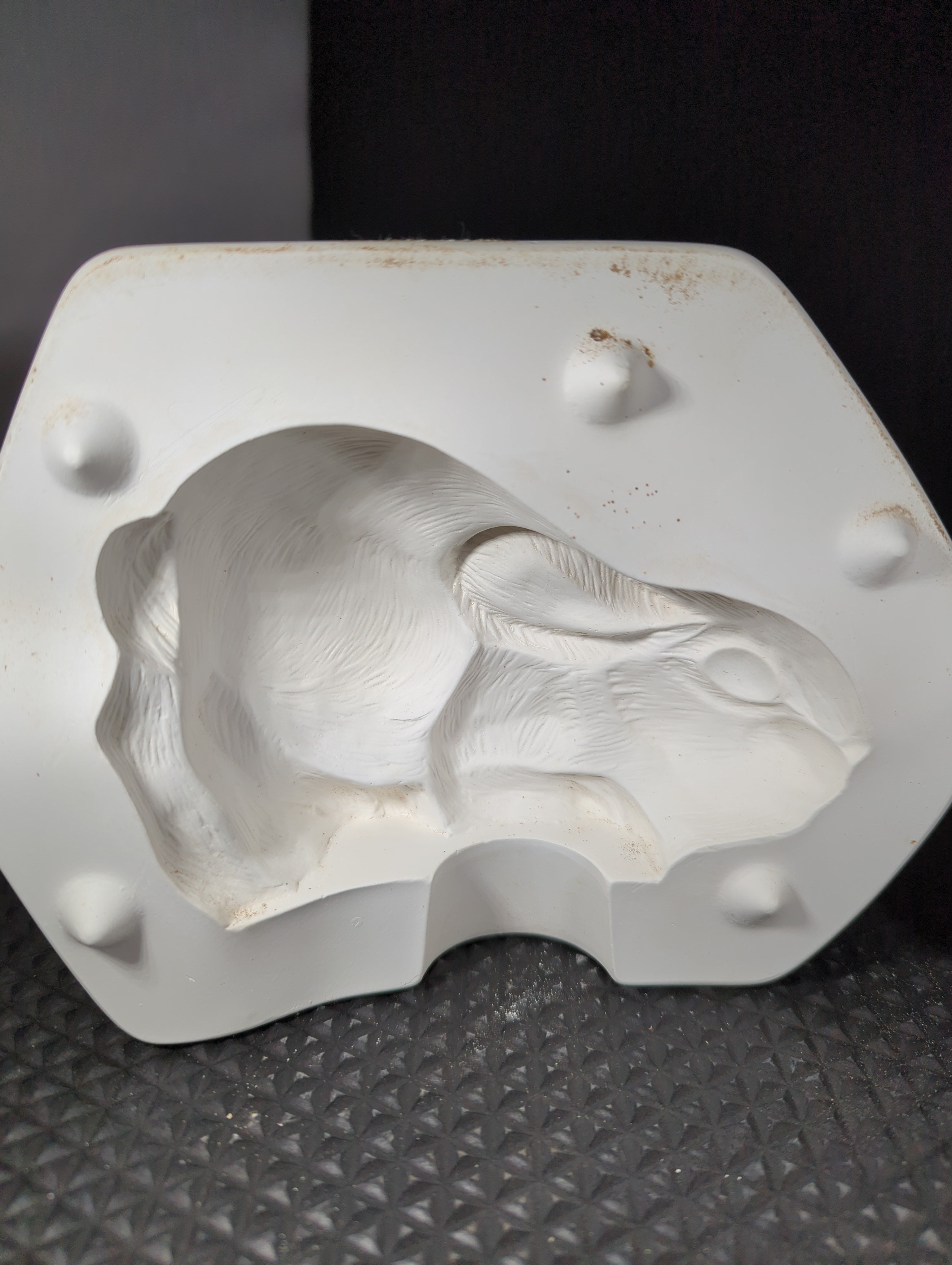 CM0191 - C-910 Bunny