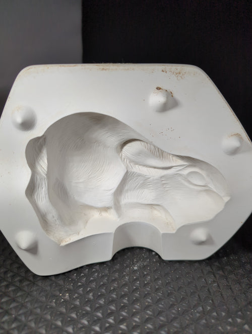 CM0191 - C-910 Bunny