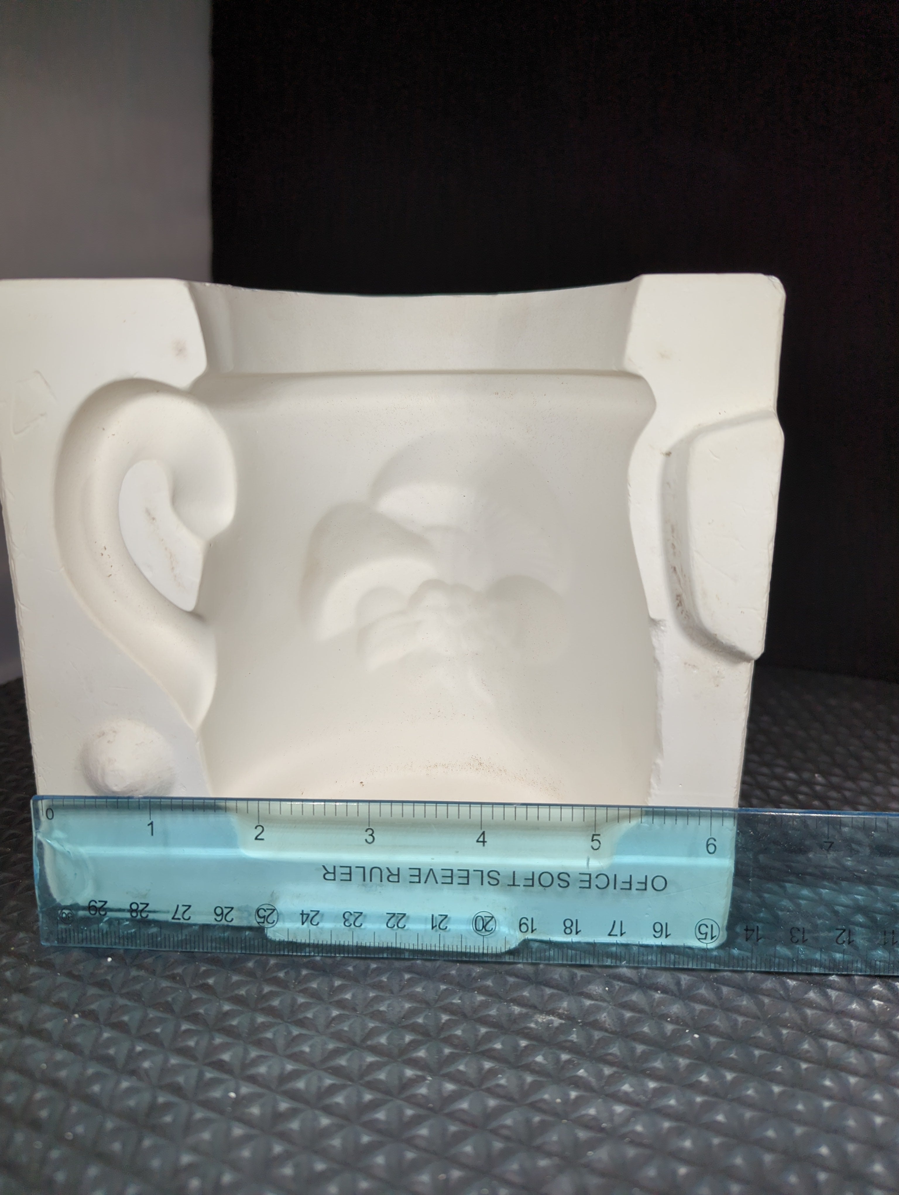 CM0266 - 1906 Gare Jodi (Mushroom Mug)