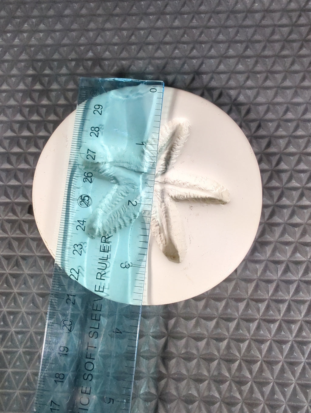 CM0392- Starfish Press/ Sprig Mold
