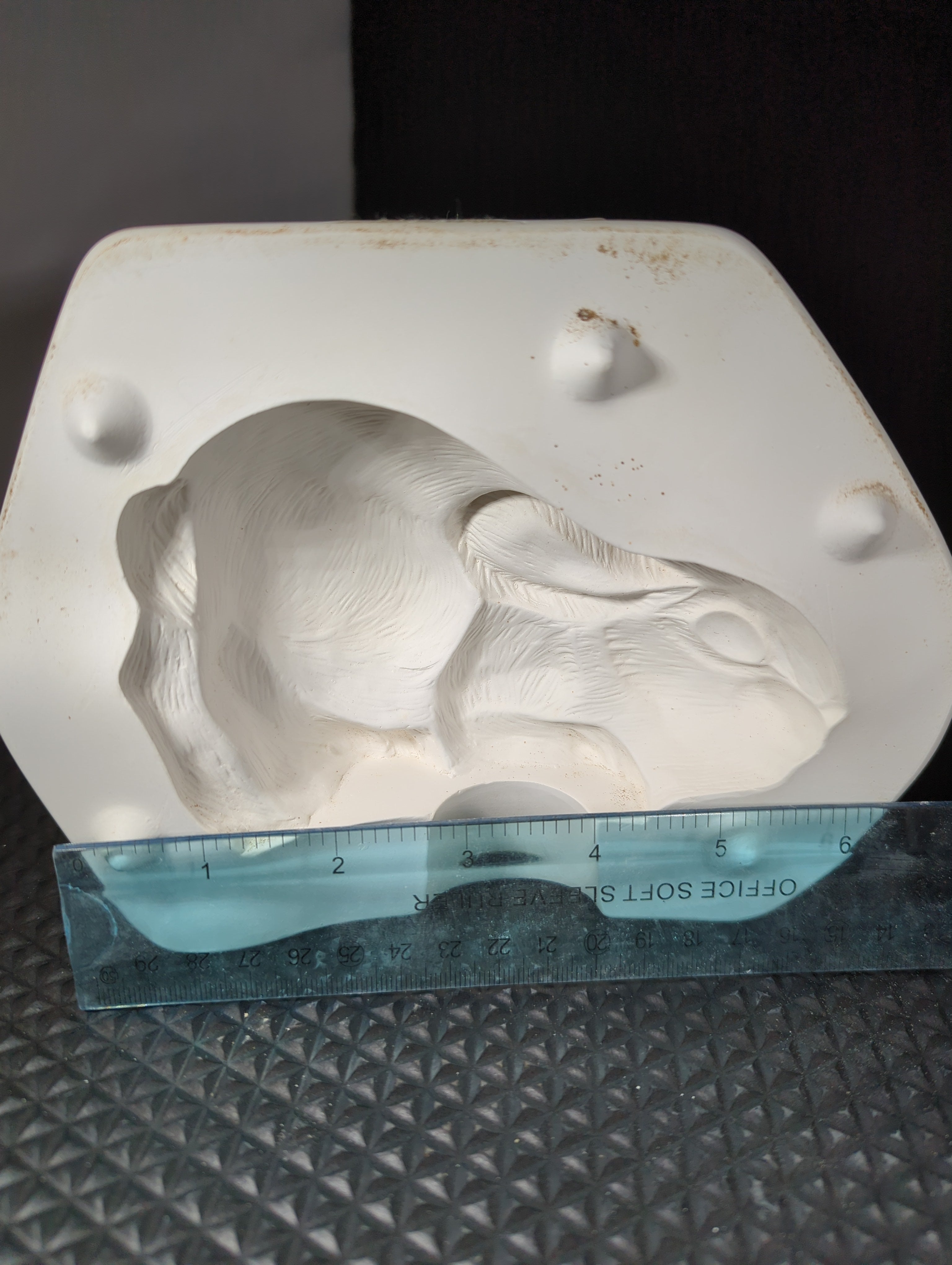 CM0191 - C-910 Bunny