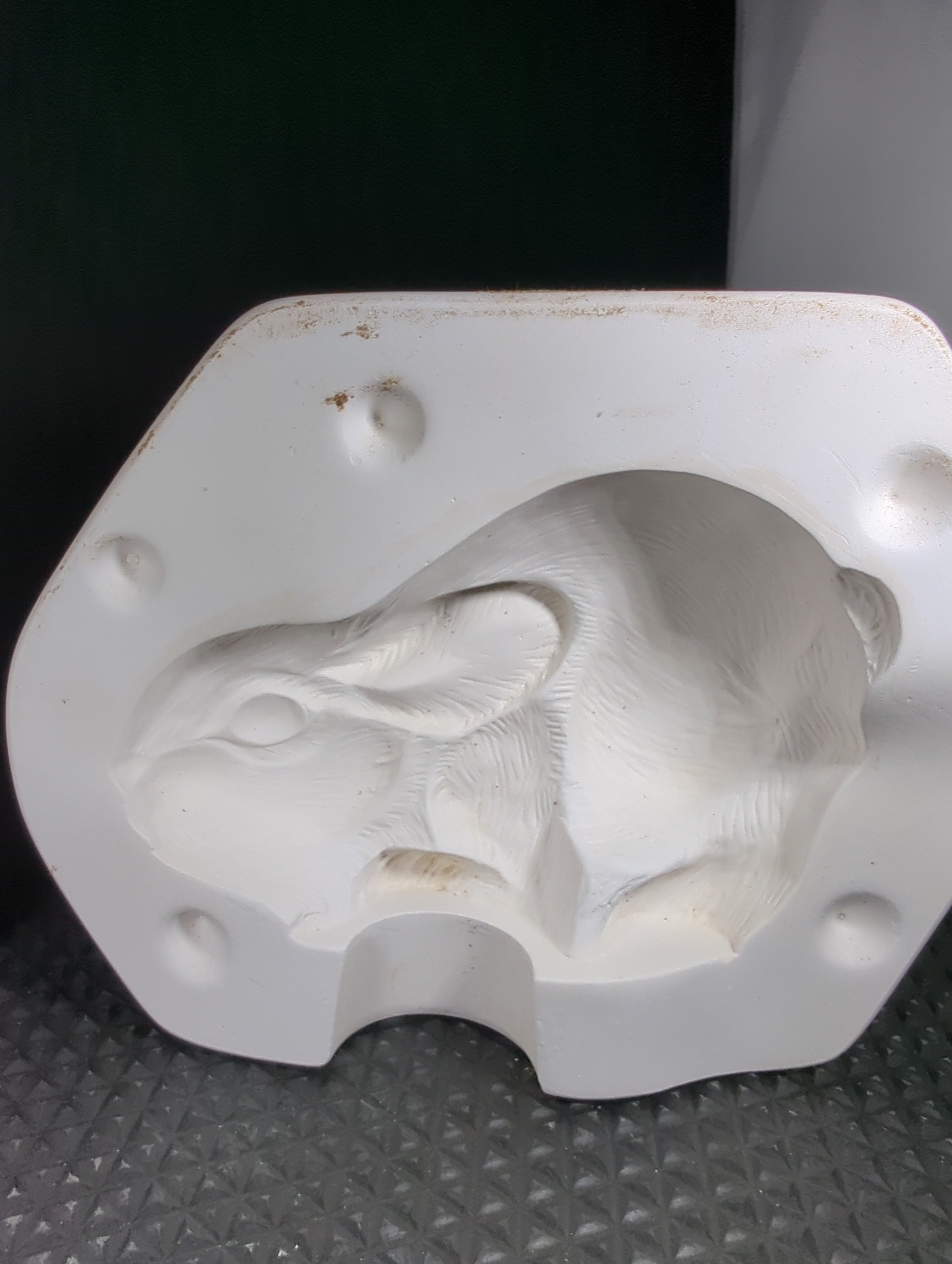 CM0191 - C-910 Bunny