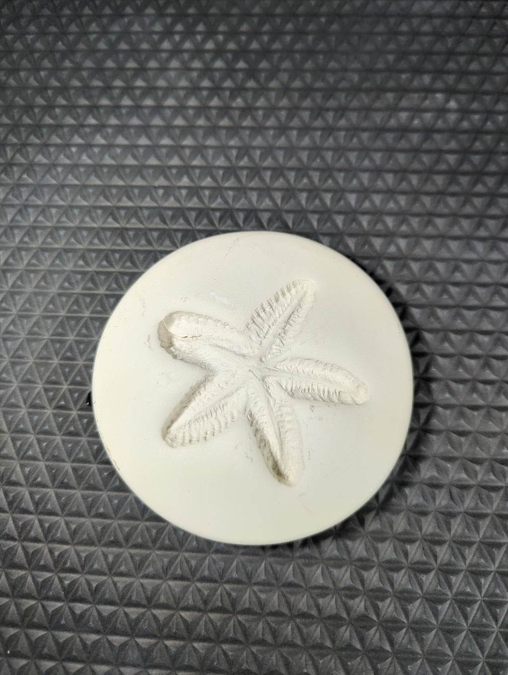 CM0392- Starfish Press/ Sprig Mold