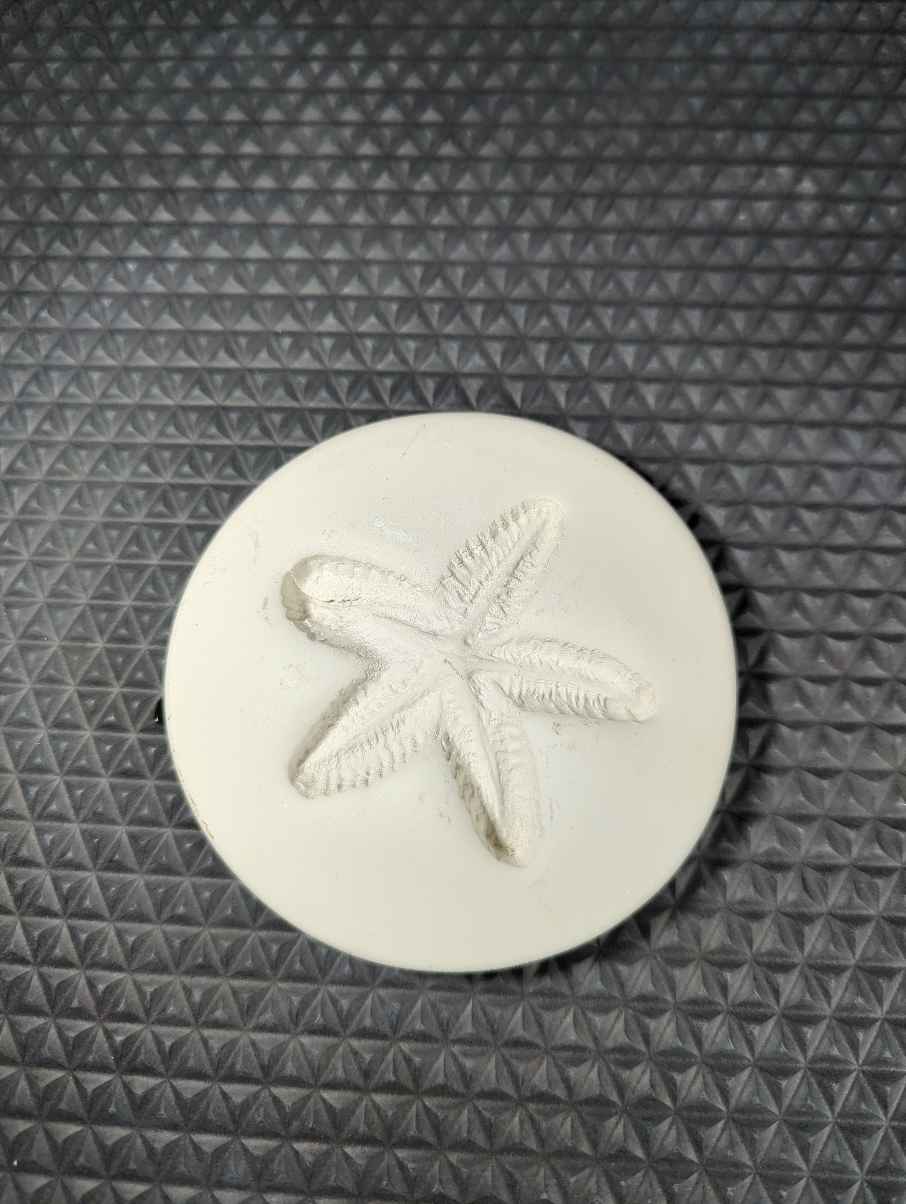 CM0392- Starfish Press/ Sprig Mold