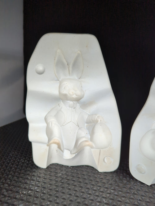 CM0186 - DM 539 Duncan Peter Rabbit Mold