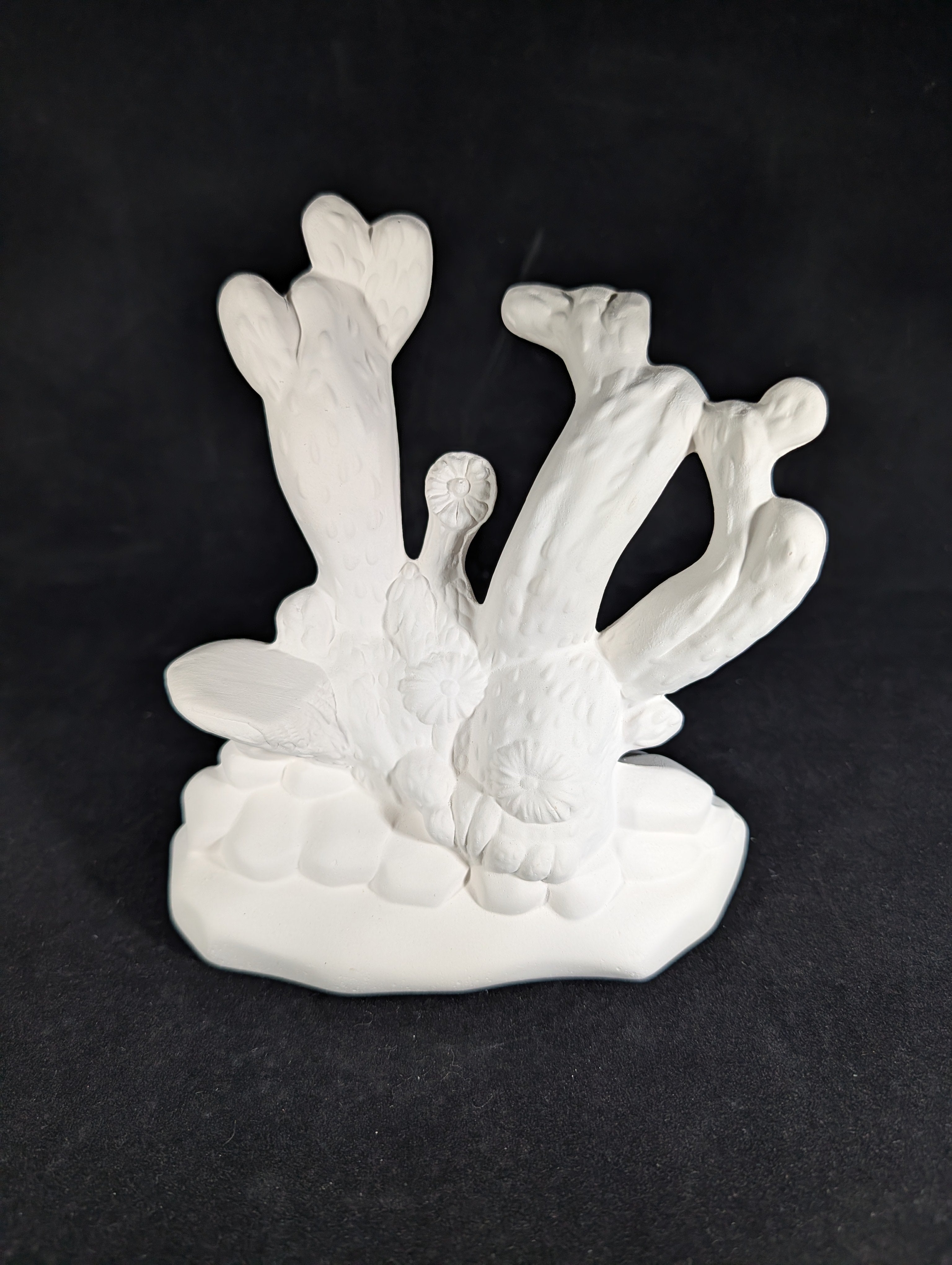 CM0634B - Cone 6 Bisque 353A Kentucky Mold Cactus
