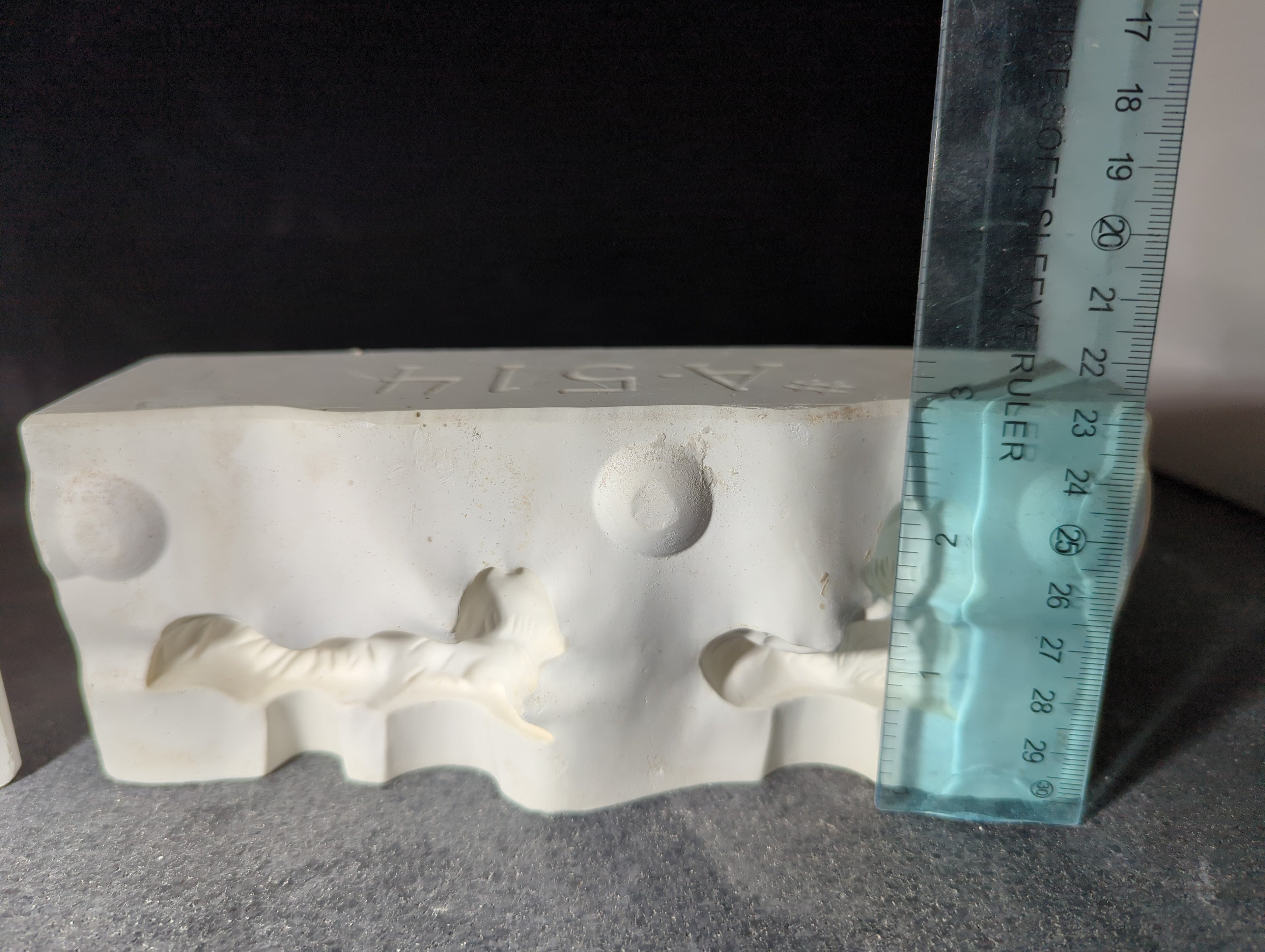 CM0155 - A-514 Alberta's Squirrels