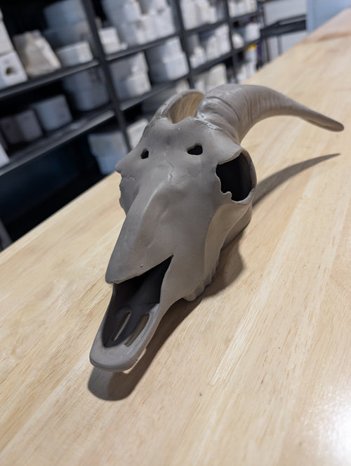CM0019B - 1324 Doc Holliday Skull, Mountain Goat 13"L Bisque
