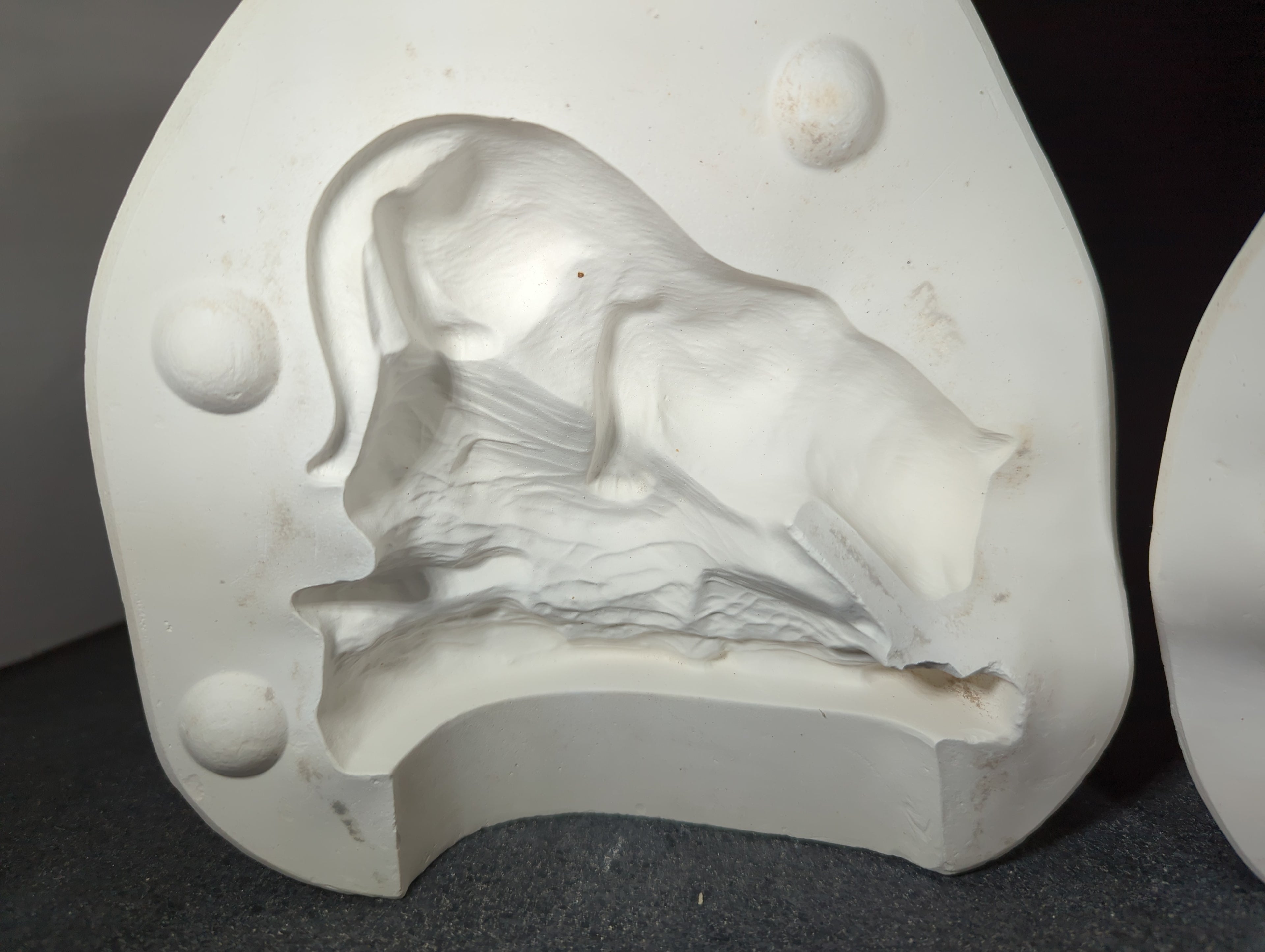 CM0152 - 2288 Kimple Cougar