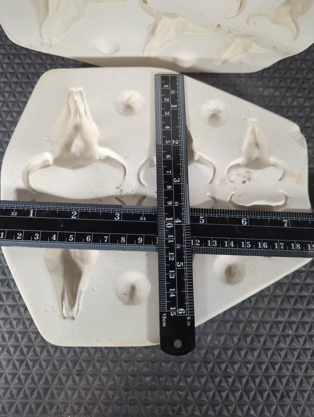 CM0853 - 1083 Goldrush Steer Skull Magnet/ Drawer Pulls/ Ornament