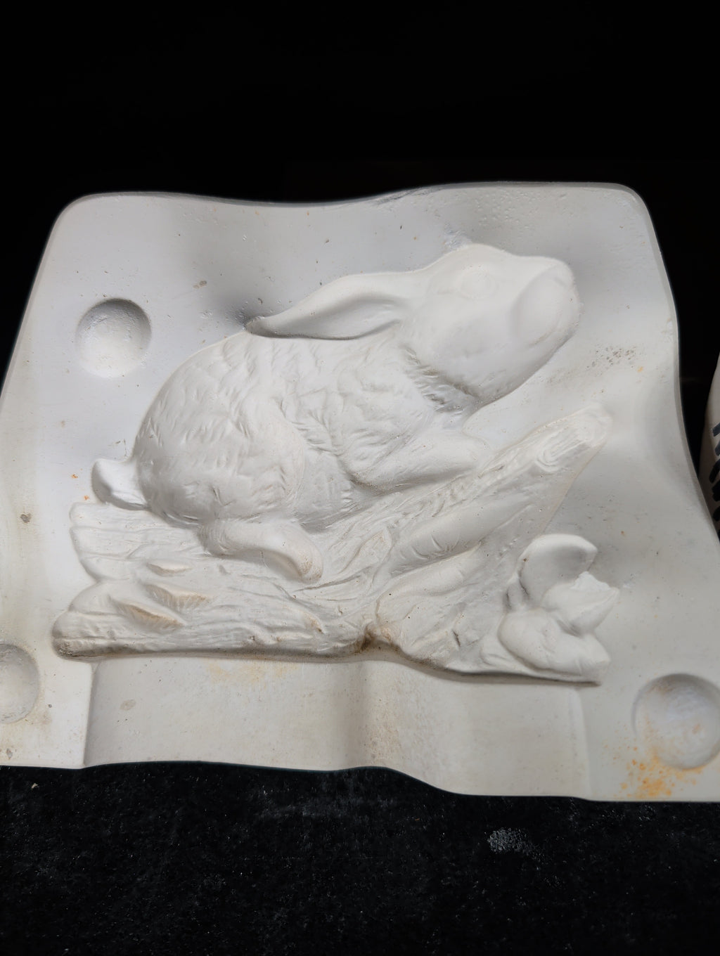 CM0013 - 481 Kimple Bunny on Log