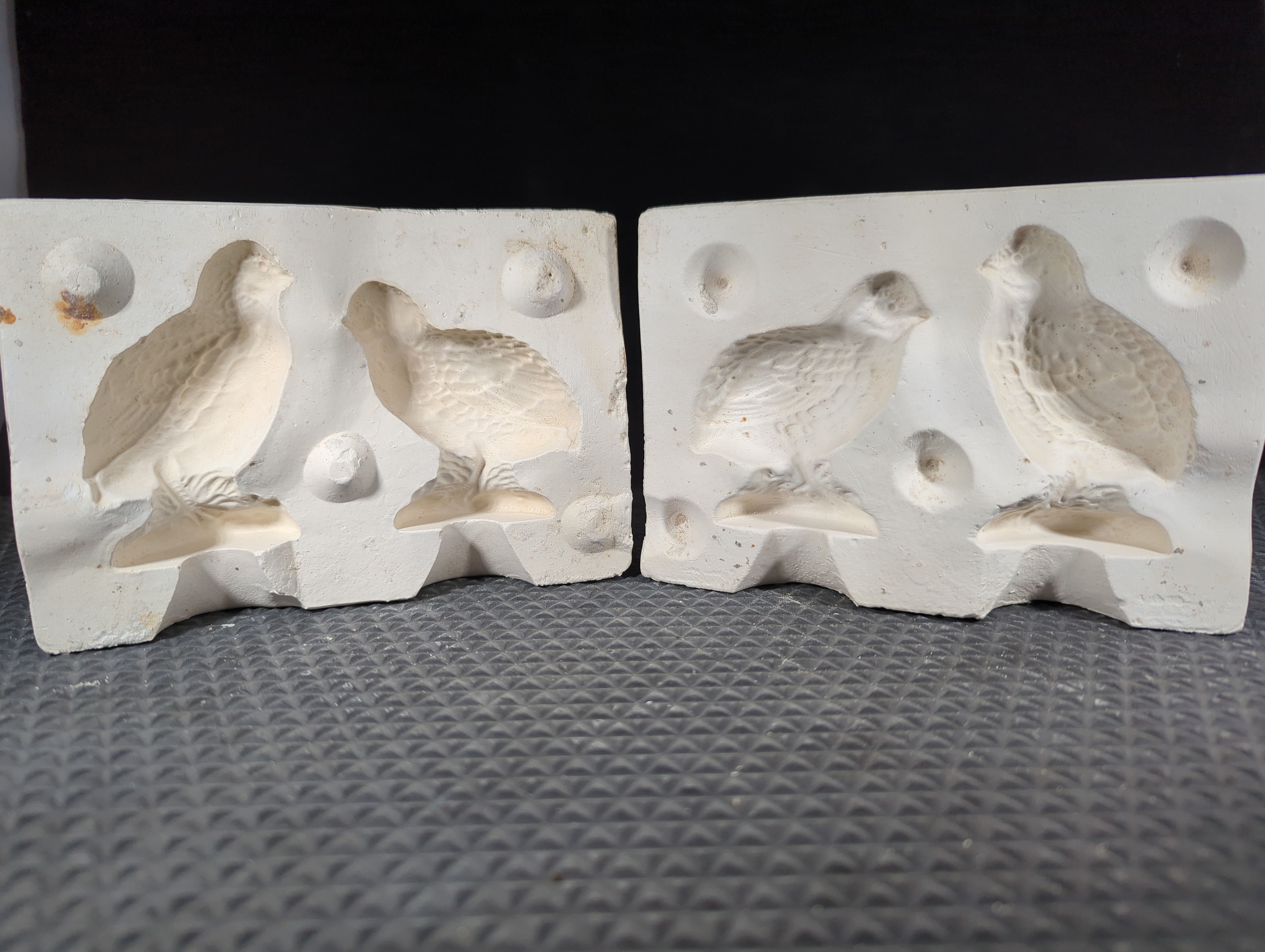 CM0696 -HM-1010 Quails