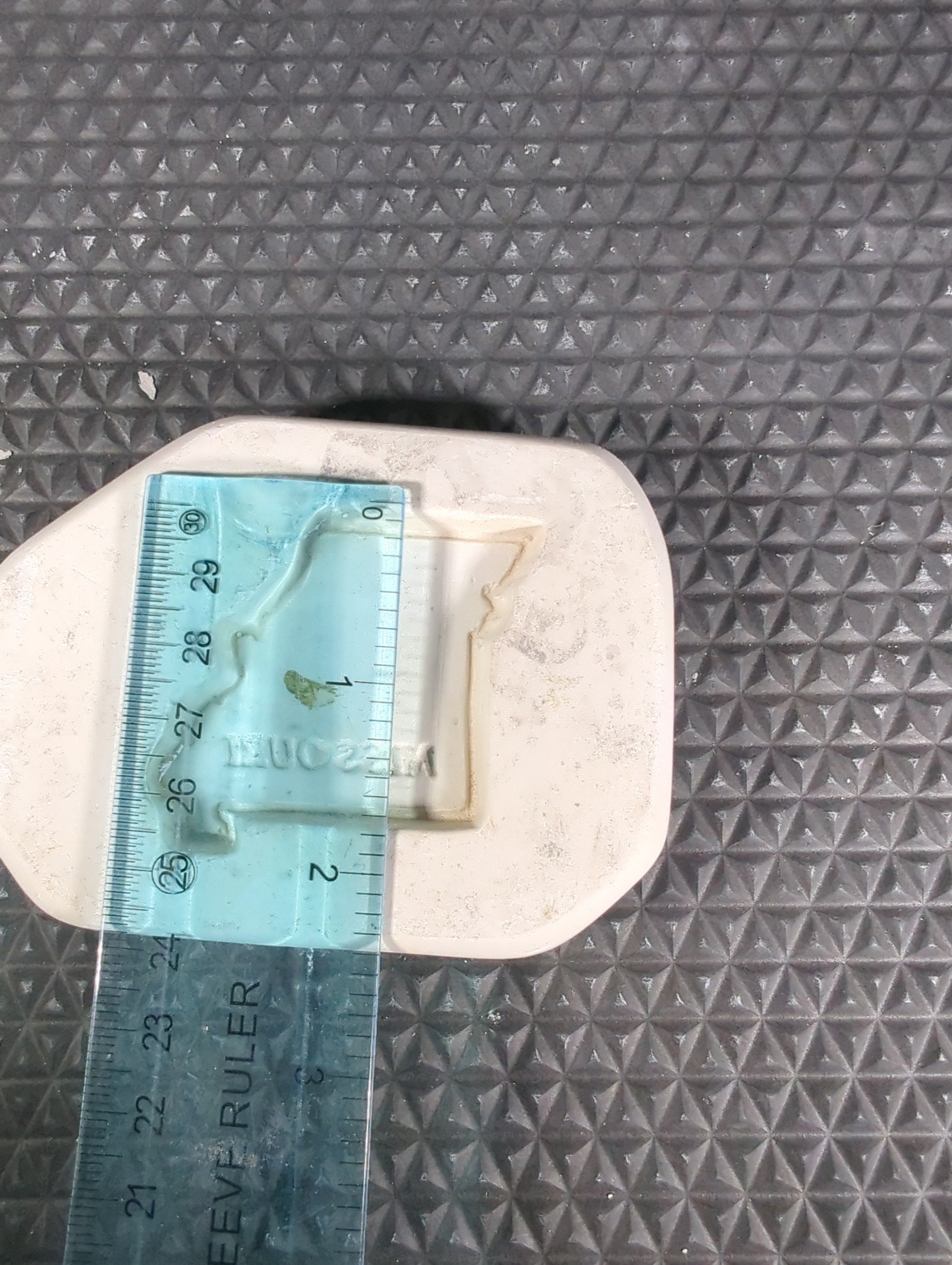 CM0394 - M-251 Missouri Press/ Sprig Mold