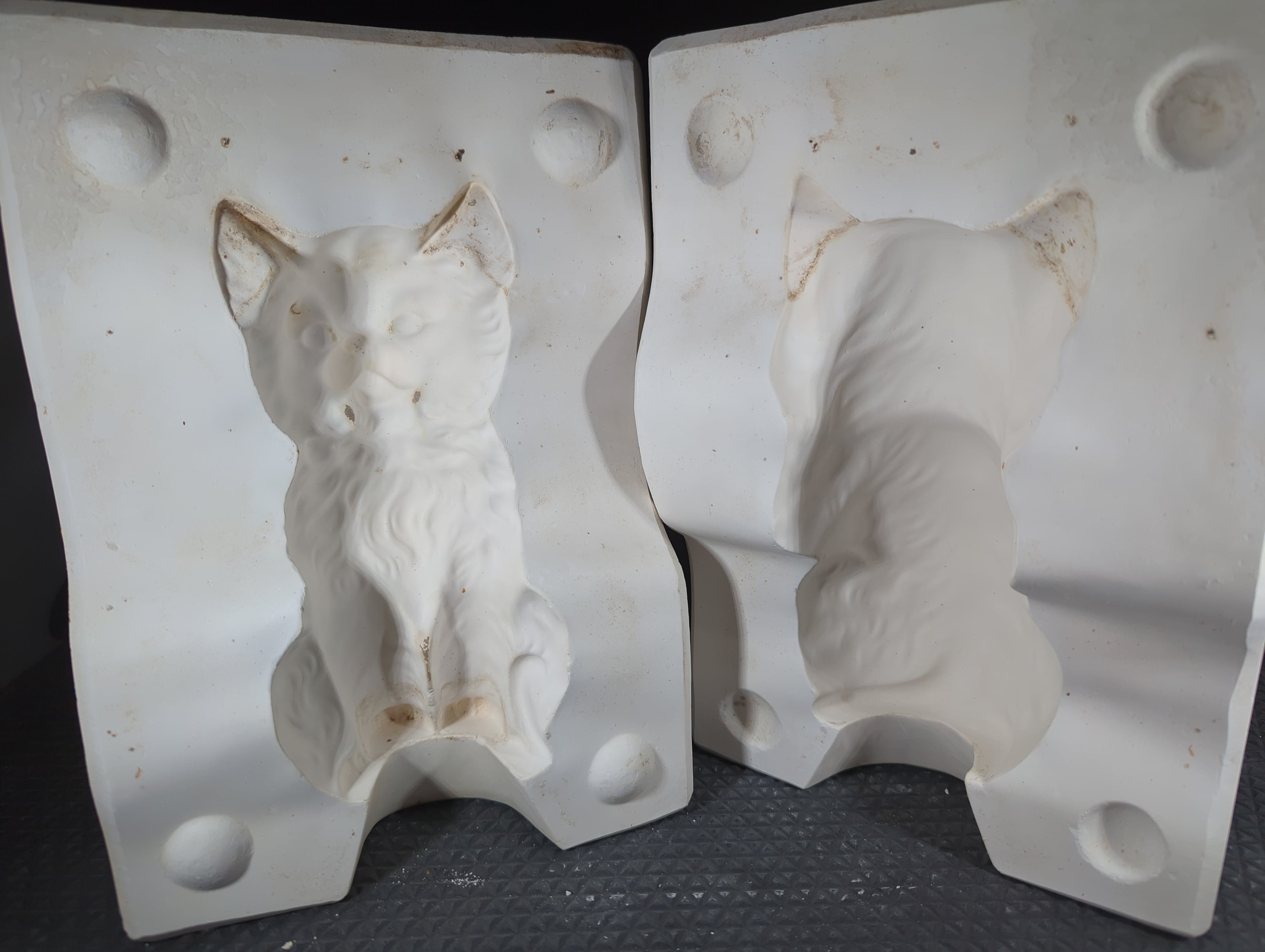 CM0636 -Persian Cat