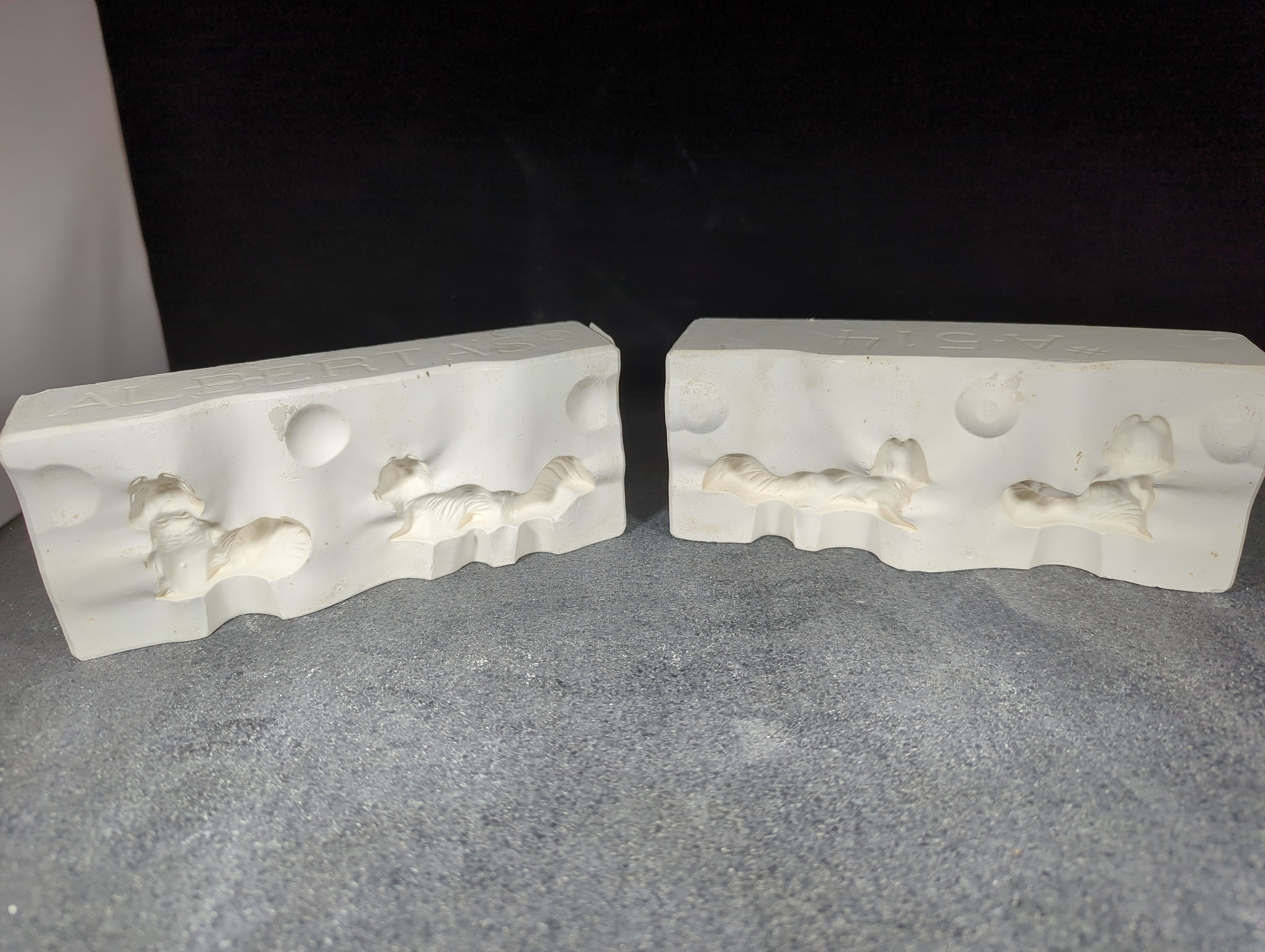 CM0155 - A-514 Alberta's Squirrels