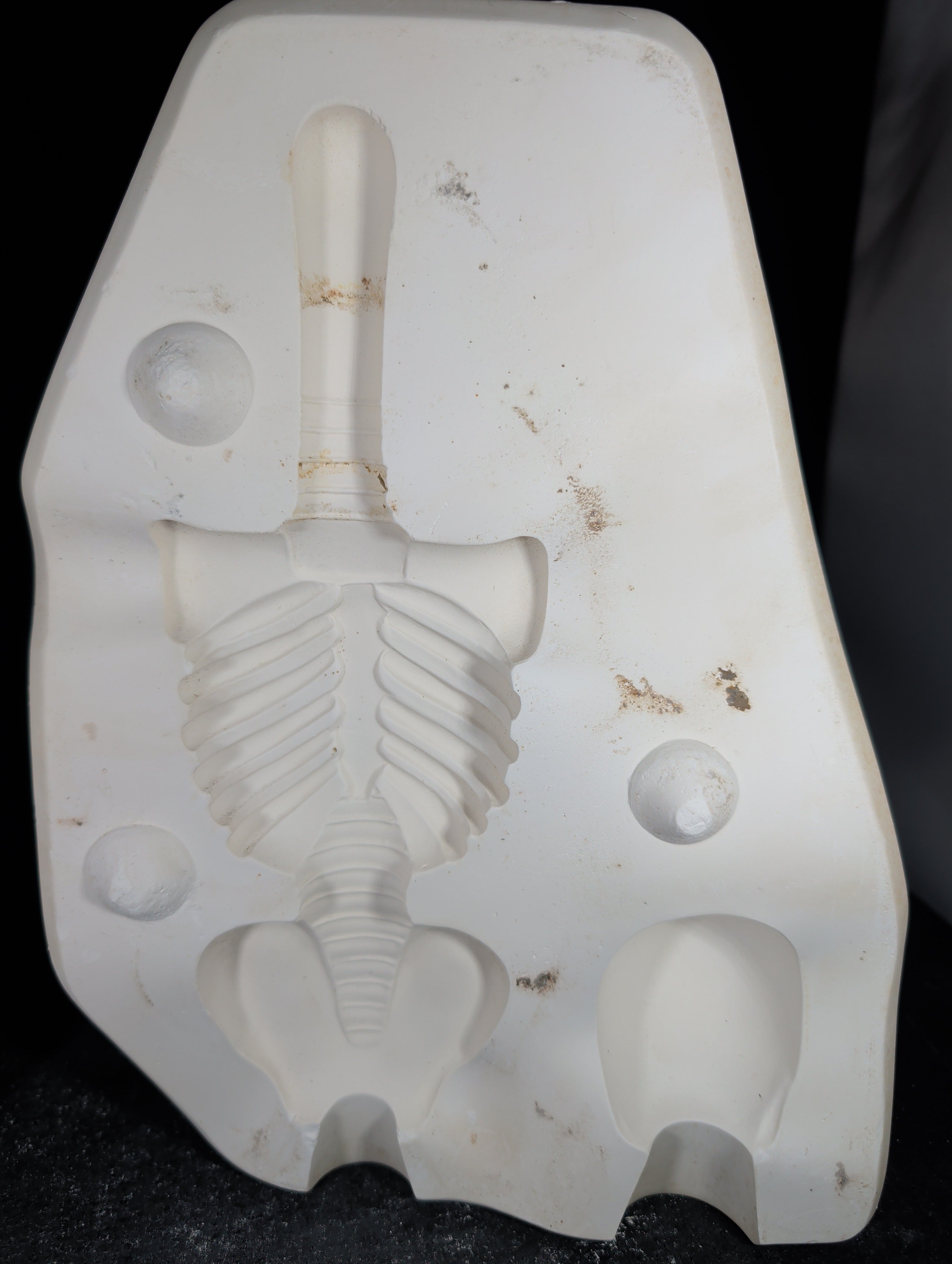 CM0037 - S-1732 SCIOTO Skelton (Mr or Miss Bones) - Head and Body